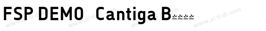 FSP DEMO   Cantiga B字体转换
